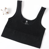 Women’s Seamless Ribbed Bra Crop Top – Wireless Sports Camisole
