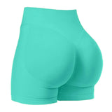 Women’s Seamless Summer Shorts – High Stretch Gym & Yoga Shorts