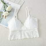 Women’s Lace Tube Top Bralette – Seamless V-Neck Crop Bra