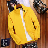 Yellow jacket 
