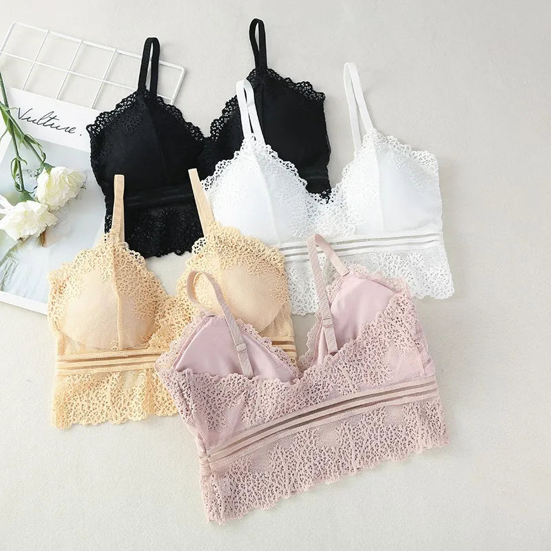 Set of women's lace-trimmed seamless V-neck crop bras in black, white, beige, and pink by Athletic Sanctuary on a light background.